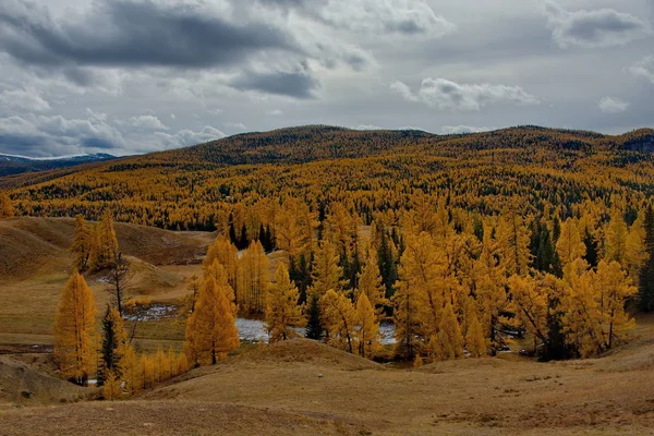 Herfst in de Altaj — Stockfoto