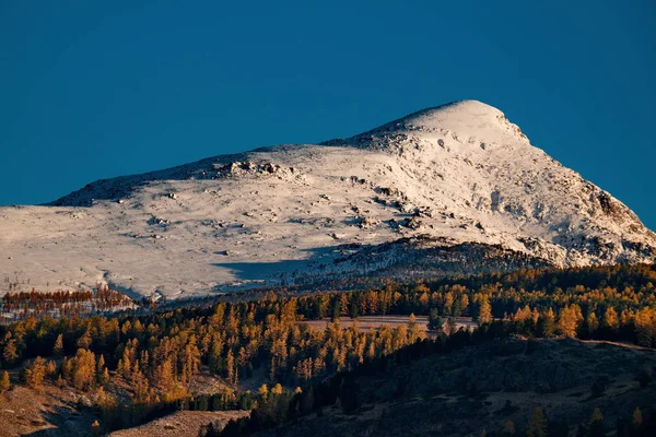 Höst i Altajbergen — Stockfoto