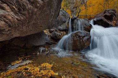 Altay Dağları sonbaharda