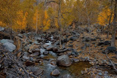Altay Dağları sonbaharda