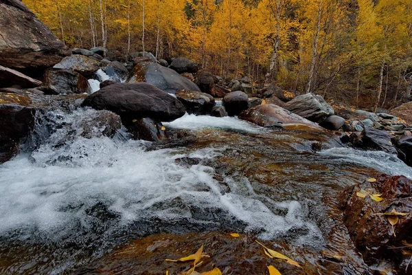 Autumn in the Altai Mountains — Stock Photo, Image