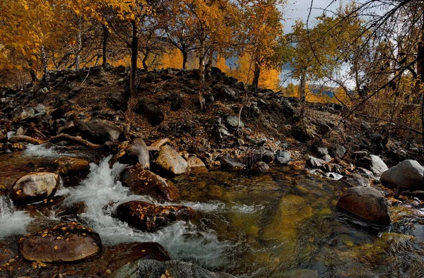 Autumn in the Altai Mountains — Stock Photo, Image