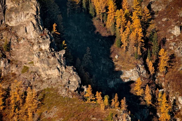 Autumn in the Altai Mountains — Stock Photo, Image