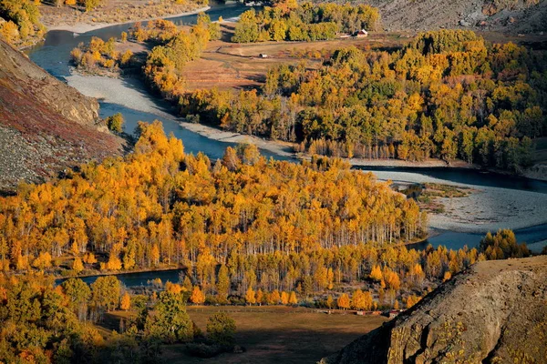 Höst i Altajbergen — Stockfoto