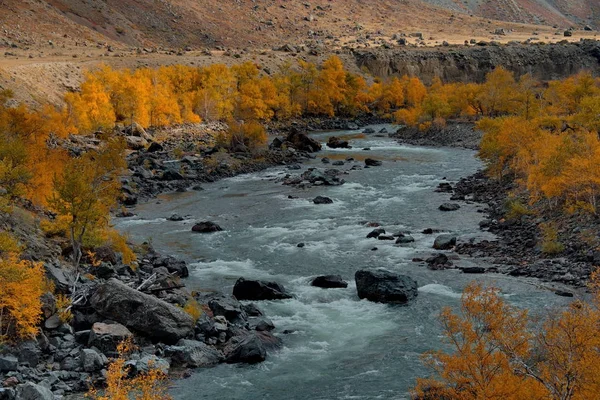 Ein Herbst auf dem Fluss chulyman — Stockfoto