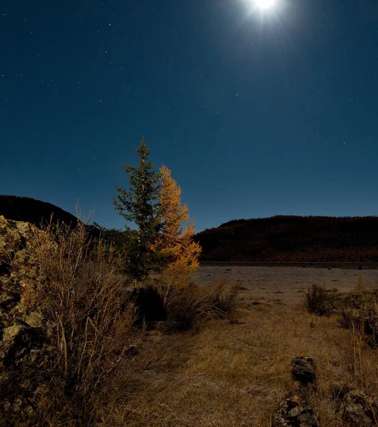 Noche a la luz de la luna en las montañas Altai — Foto de Stock