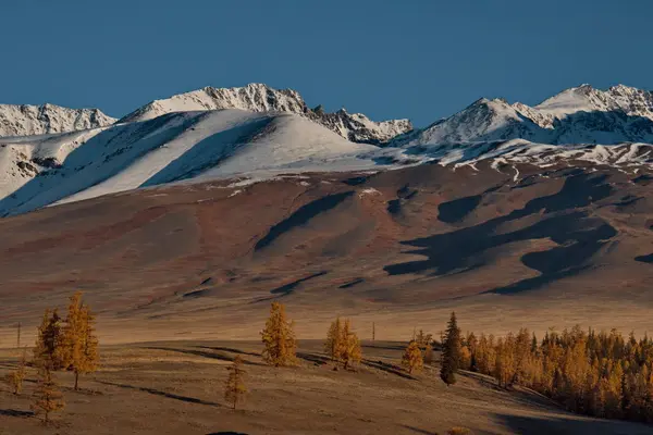 Rusya Güney Batı Sibirya Sonbaharda Altay Dağları — Stok fotoğraf