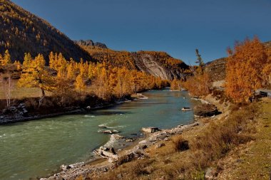Rusya. Güney Batı Sibirya, sonbaharda Altay Dağları