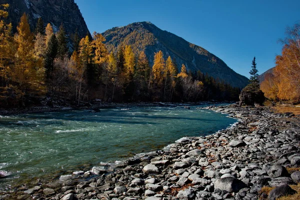 Russia. The South Of Western Siberia, Autumn in the Altai mountains