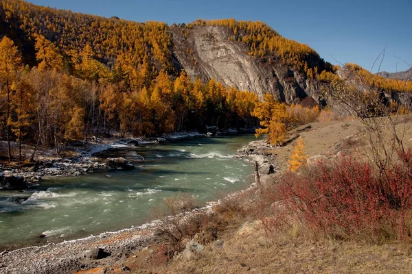 Rusia Sur Siberia Occidental Otoño Las Montañas Altai —  Fotos de Stock