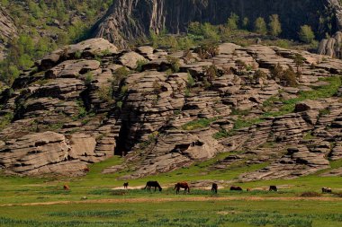 Doğu Kazakistan, Milli Parkı Bayanaul