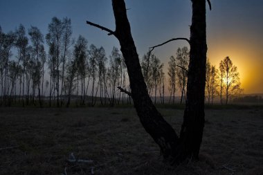 Rusya. Güney Batı Sibirya, Bahar günbatımı
