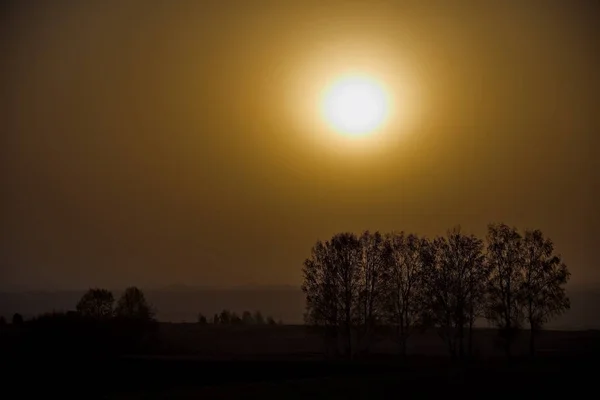 Russland Der Süden Westsibiriens Frühlingssonnenuntergang — Stockfoto