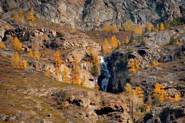Россия Западной Сибири Осень Горах Алтая — стоковое фото
