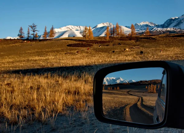 Rússia Sul Sibéria Ocidental Outono Nas Montanhas Altai — Fotografia de Stock