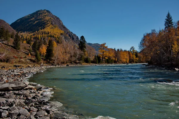 Russia South Western Siberia Autumn Altai Mountains Chuya River — Stock Photo, Image