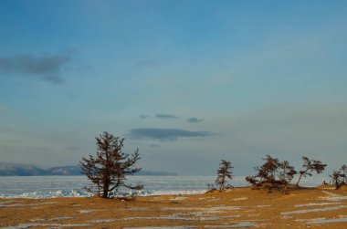 Rusya. Doğu Sibirya. Deniz Baykal, küçük deniz Olkhon adadan kumlu kıyı.