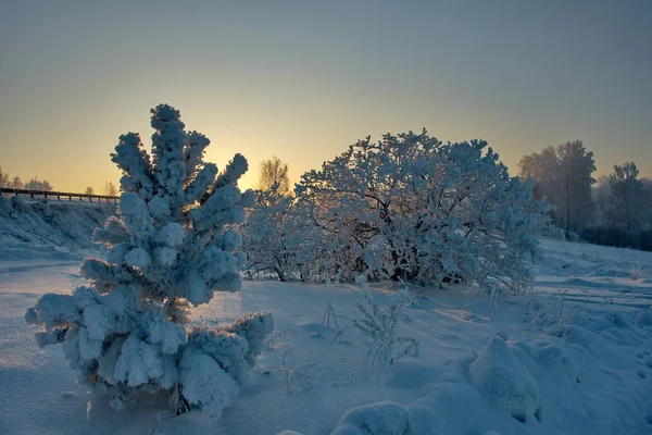 Взимку Захід Сонця Південь Від Західного Сибіру — стокове фото