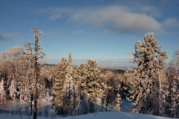 Rusland Het Zuiden Van West Siberië Frosty Dageraad Berg Sjor Stockfoto