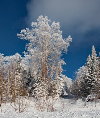 Rusya. Batı Sibirya güneyinde. Frosty dawn dağ Shoria.