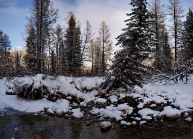 Rusya. Dağ Altay. Geç sonbaharda nehirlerdeki buza.