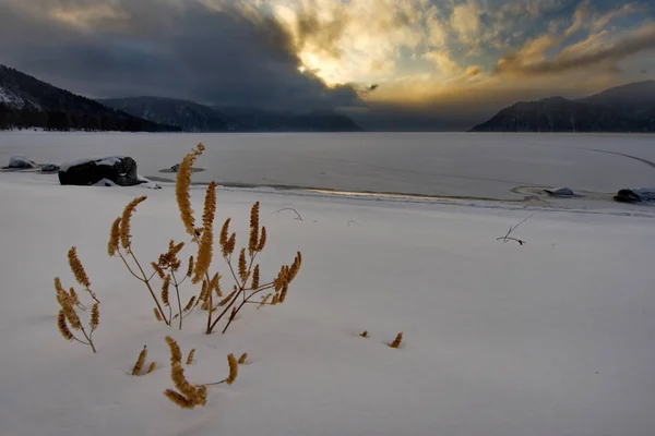 Russie Montagne Altaï Coucher Soleil Sur Lac Teletskoye — Photo