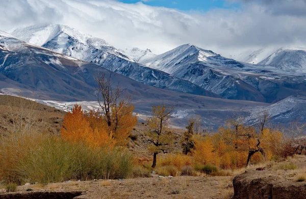 Rusia Sur Siberia Occidental Otoño Las Montañas Altai Cerca Del — Foto de Stock