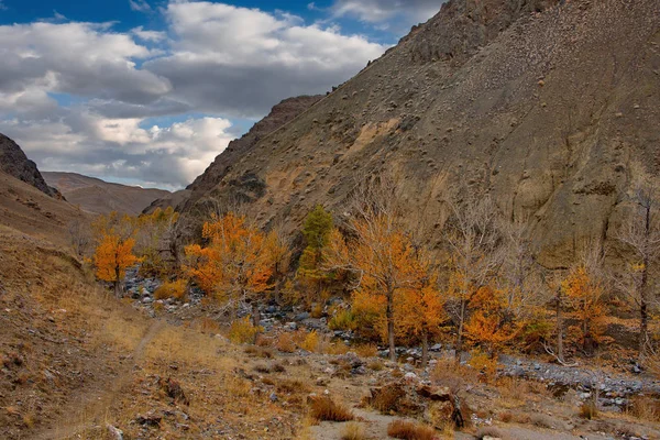 Russland Südwestsibirien Herbst Altai Der Nähe Des Naturparks Marsfelsen — Stockfoto