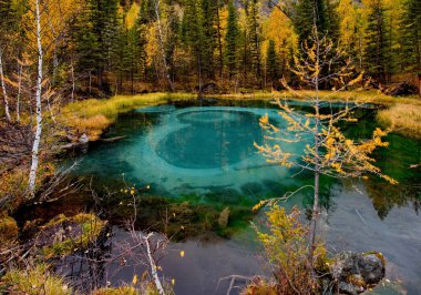 Rusya. Batı Sibirya güneyinde. Altay Dağları'nda ünlü Şofben Gölü.