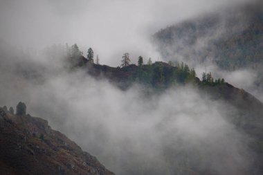 Rusya. Altay Dağları'nda kalın sabah sis