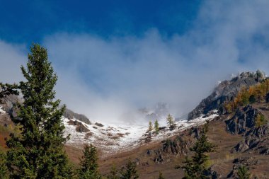 Rusya. Altay Dağları'nda kalın sabah sis
