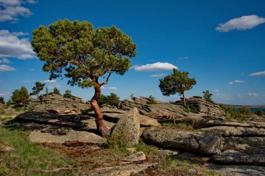 Doğu sonsuz bozkır içinde bulunan Kazakistan, antik Dağları Milli Parkı Bayanaul,.