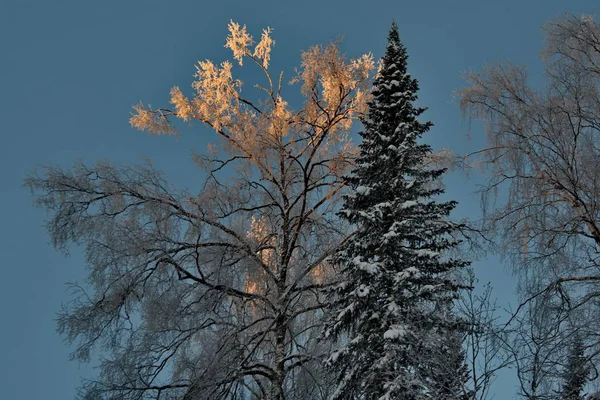 Russland Südwestsibirien Frostige Morgendämmerung Bergheimen — Stockfoto