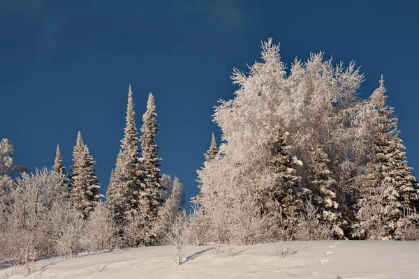 Rusko Jihu Západní Sibiře Frosty Dawn Horských Shoria — Stock fotografie