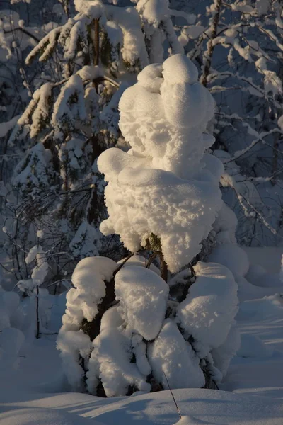 Russland Wintersonnenaufgang Altai — Stockfoto