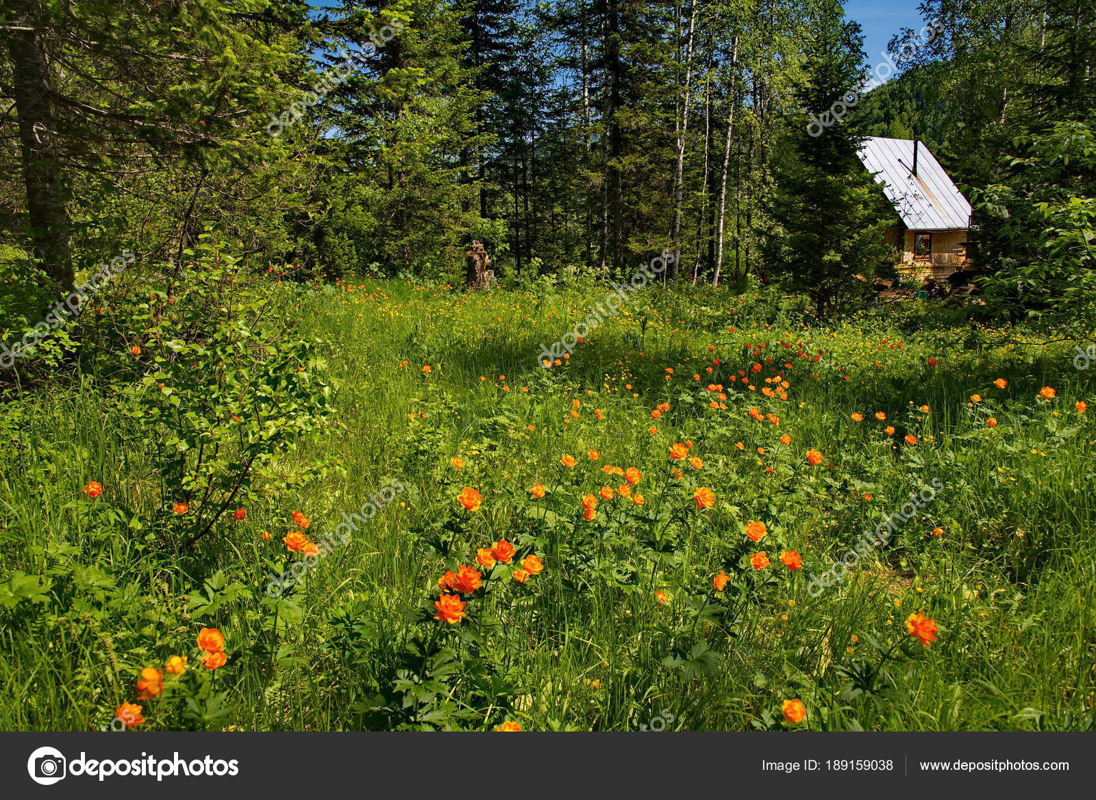 西シベリア Western Siberia JapaneseClass.jp