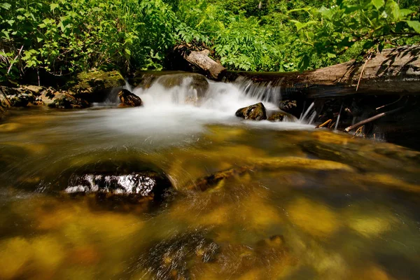 Russland Südwestsibirien Später Sommer Auf Dem Land Der Taiga — Stockfoto