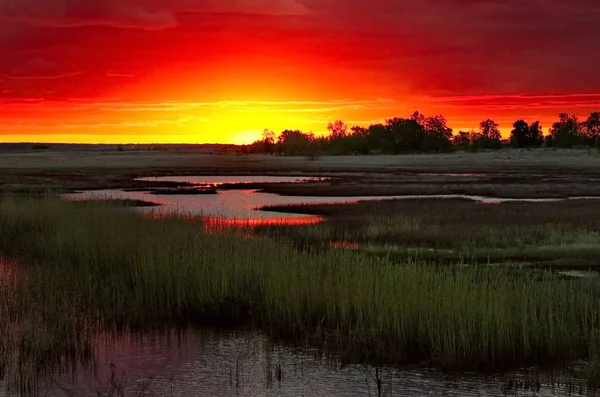 Pôr Sol Incrível Nas Estepes Cazaquistão — Fotografia de Stock