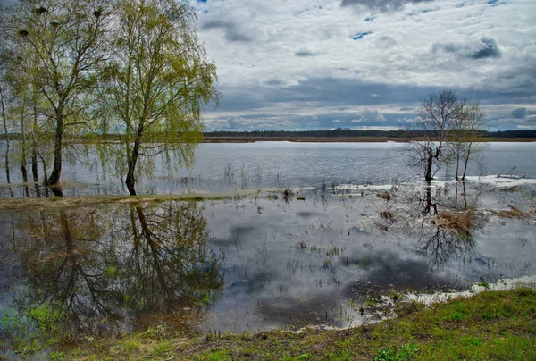 Rusia Inundación Río Irtysh —  Fotos de Stock