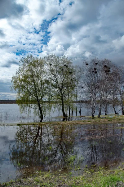 Rusland Vloed Rivier Irtysj — Stockfoto