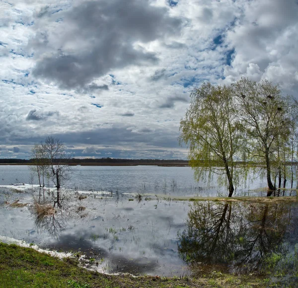 Rusland Vloed Rivier Irtysj — Stockfoto