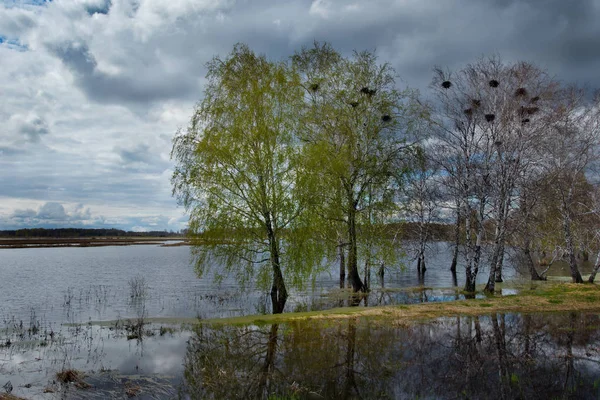 Rusia Inundación Río Irtysh —  Fotos de Stock