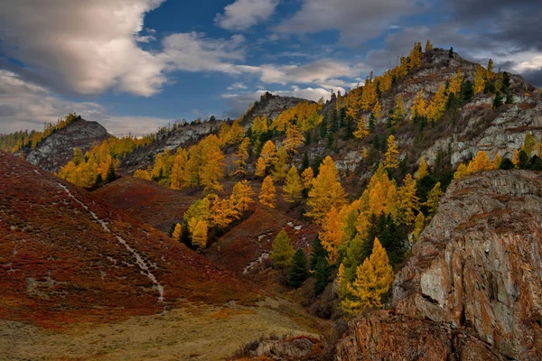 Russia Late Autumn Altai Mountains — Stock Photo, Image