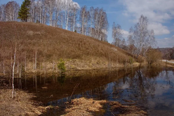 Rusia Sur Siberia Occidental Primavera Temprana Mountain Shoria —  Fotos de Stock