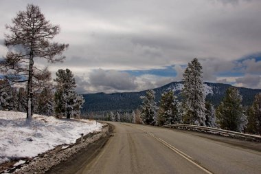Rusya. Dağ Altay. İlkbahar geç Chuisky karayolu Seminsky geçişte (1894 m).