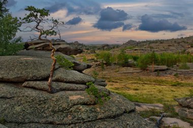 Doğu Kazakistan. Bayanaul Milli Parkı 'nın dağlarında yaz akşamı
