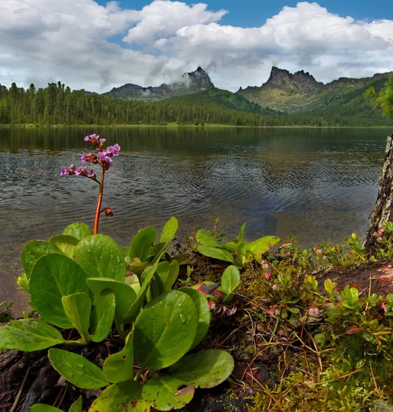 Rusia Montañas Sayan Occidentales Sur Del Territorio Krasnoyarsk Lago Luz — Foto de Stock