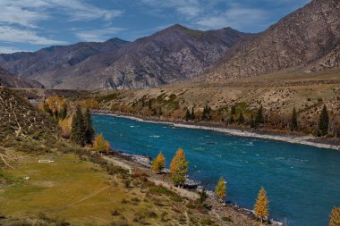 - Rusya. Batı Sibirya 'nın güneyi. Sonbaharın sonlarında Altai dağlarında, Katun nehri..