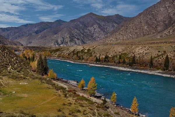 Rosja Południowa Syberia Zachodnia Późna Jesień Górach Altai Rzeka Katun — Zdjęcie stockowe