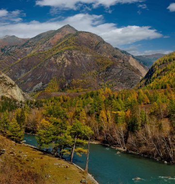 - Rusya. Batı Sibirya 'nın güneyi. Sonbaharın sonlarında Altai dağlarında, Chui nehrinde